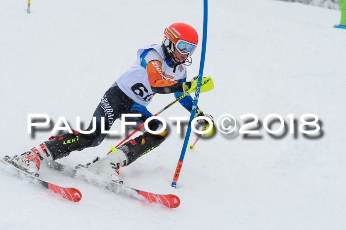 DSV Dt. Schülercup U14 SL 20.01.2018