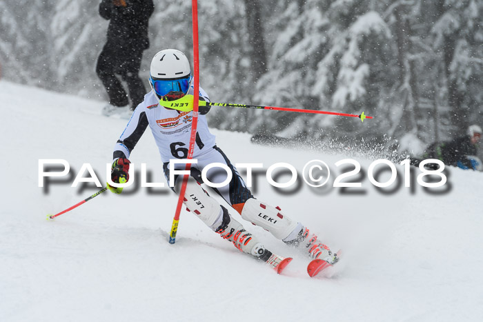 DSV Dt. Schülercup U14 SL 20.01.2018