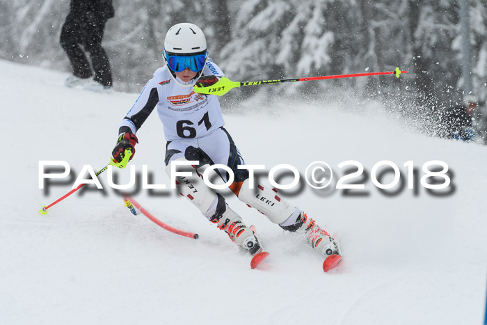 DSV Dt. Schülercup U14 SL 20.01.2018