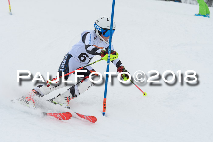 DSV Dt. Schülercup U14 SL 20.01.2018