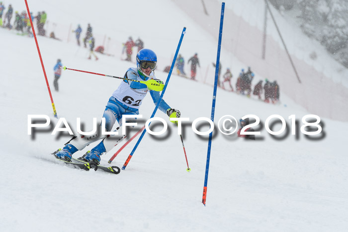 DSV Dt. Schülercup U14 SL 20.01.2018