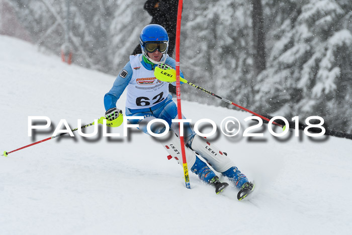 DSV Dt. Schülercup U14 SL 20.01.2018