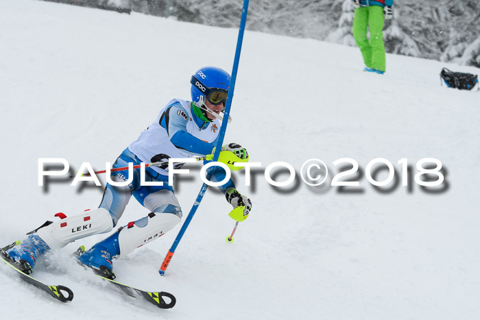 DSV Dt. Schülercup U14 SL 20.01.2018