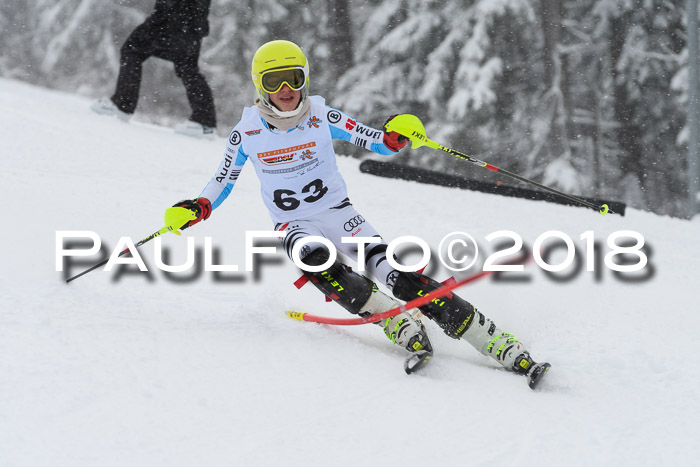DSV Dt. Schülercup U14 SL 20.01.2018