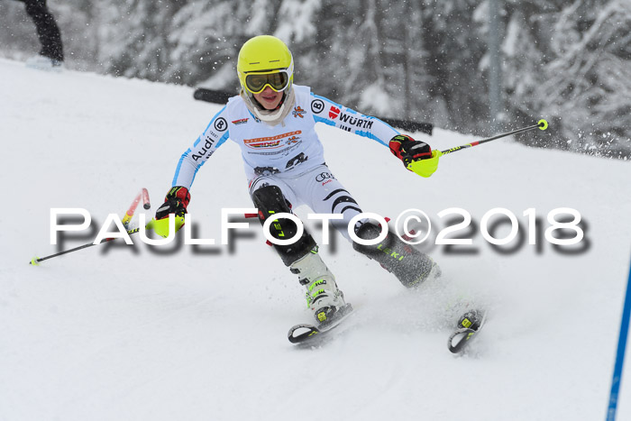 DSV Dt. Schülercup U14 SL 20.01.2018