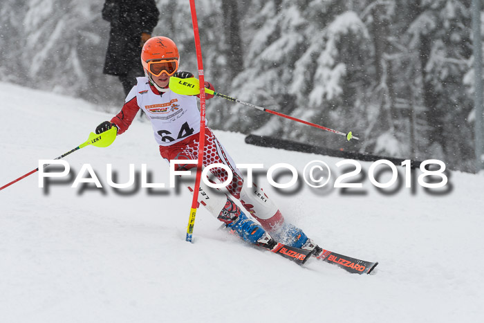DSV Dt. Schülercup U14 SL 20.01.2018