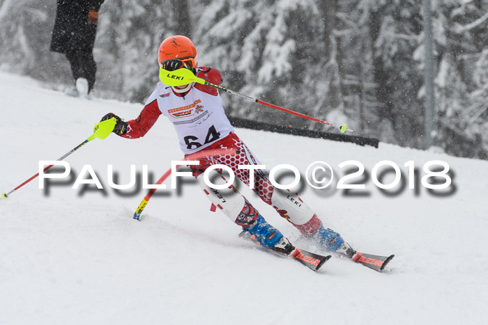DSV Dt. Schülercup U14 SL 20.01.2018