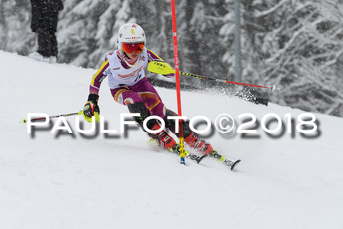 DSV Dt. Schülercup U14 SL 20.01.2018