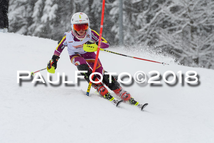 DSV Dt. Schülercup U14 SL 20.01.2018