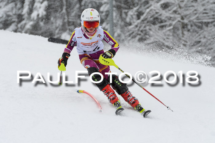 DSV Dt. Schülercup U14 SL 20.01.2018