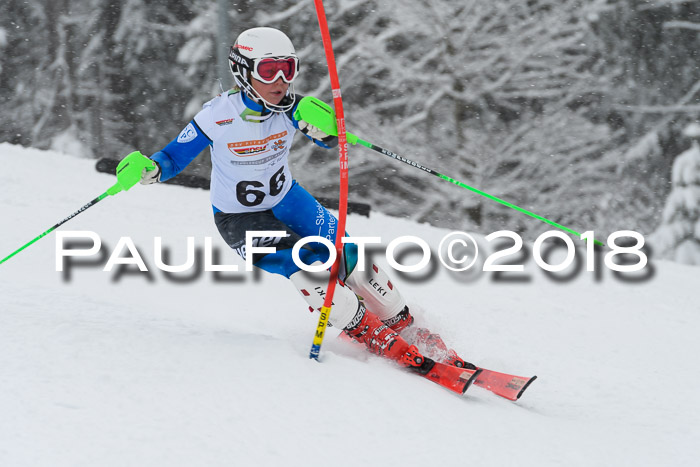 DSV Dt. Schülercup U14 SL 20.01.2018