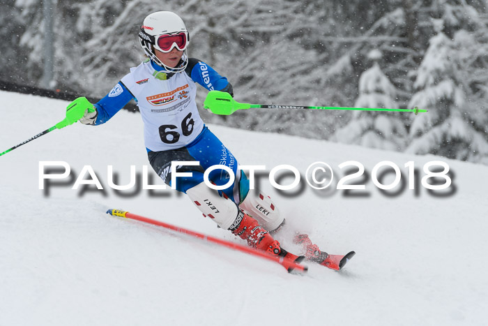 DSV Dt. Schülercup U14 SL 20.01.2018