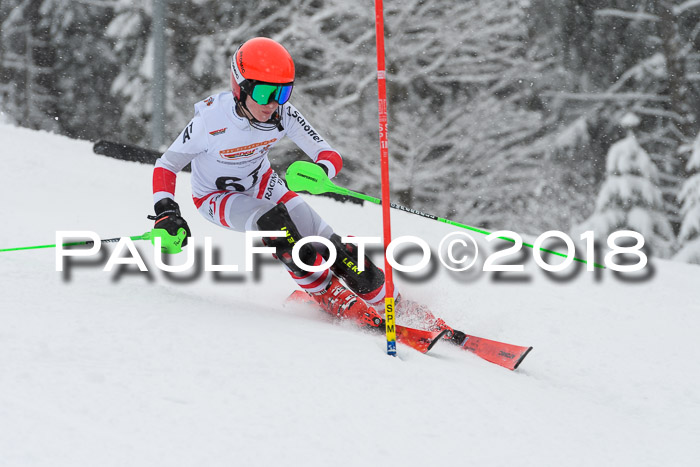 DSV Dt. Schülercup U14 SL 20.01.2018
