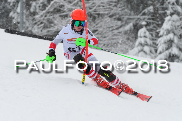 DSV Dt. Schülercup U14 SL 20.01.2018