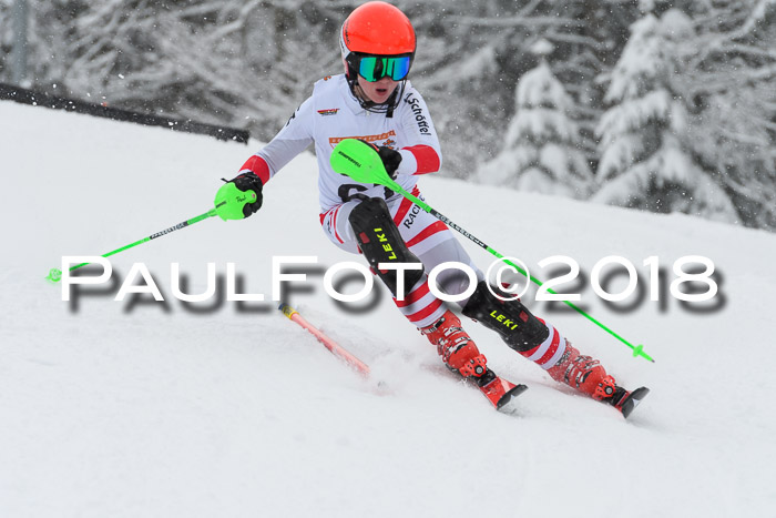DSV Dt. Schülercup U14 SL 20.01.2018