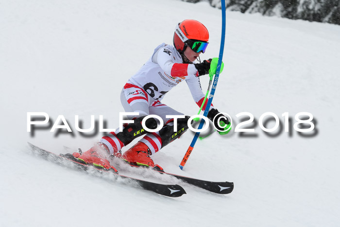 DSV Dt. Schülercup U14 SL 20.01.2018