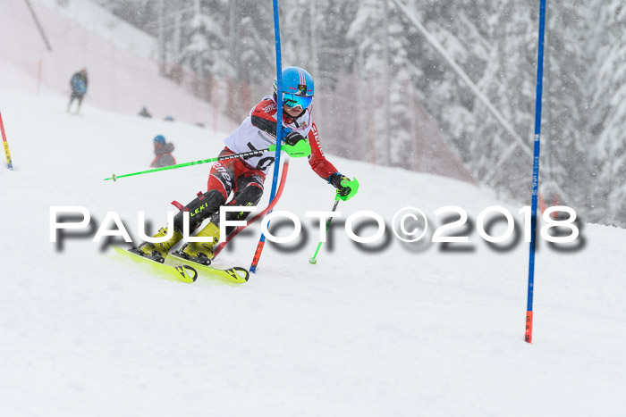DSV Dt. Schülercup U14 SL 20.01.2018