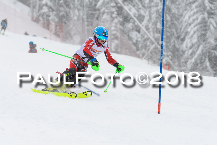 DSV Dt. Schülercup U14 SL 20.01.2018