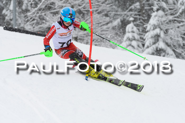 DSV Dt. Schülercup U14 SL 20.01.2018
