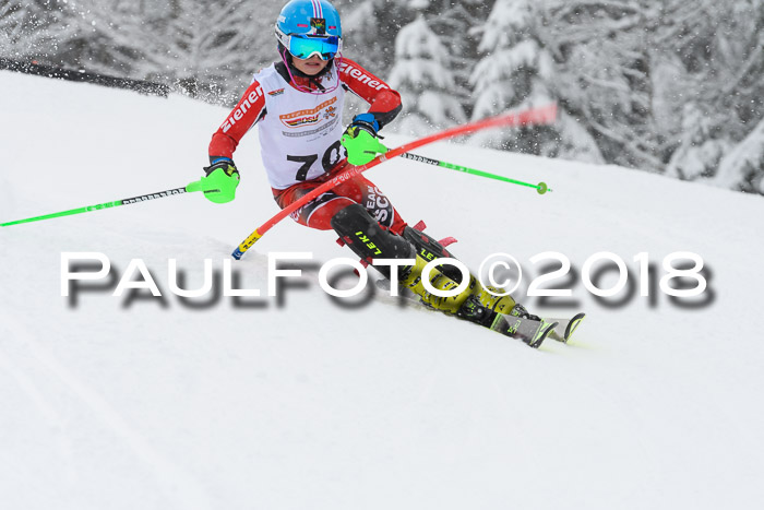 DSV Dt. Schülercup U14 SL 20.01.2018