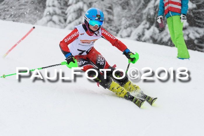DSV Dt. Schülercup U14 SL 20.01.2018