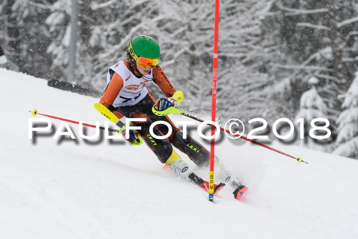 DSV Dt. Schülercup U14 SL 20.01.2018
