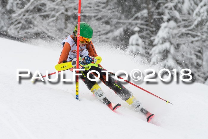DSV Dt. Schülercup U14 SL 20.01.2018