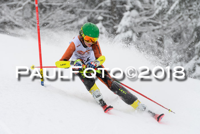 DSV Dt. Schülercup U14 SL 20.01.2018
