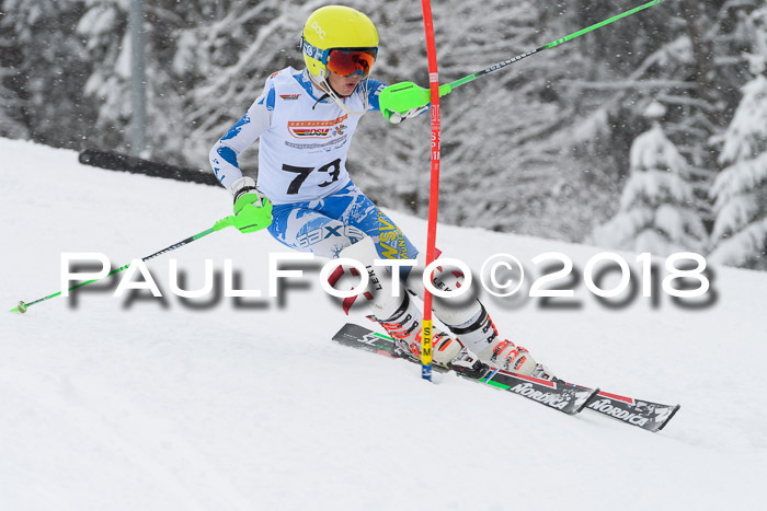 DSV Dt. Schülercup U14 SL 20.01.2018
