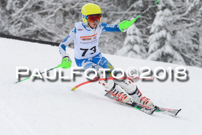 DSV Dt. Schülercup U14 SL 20.01.2018