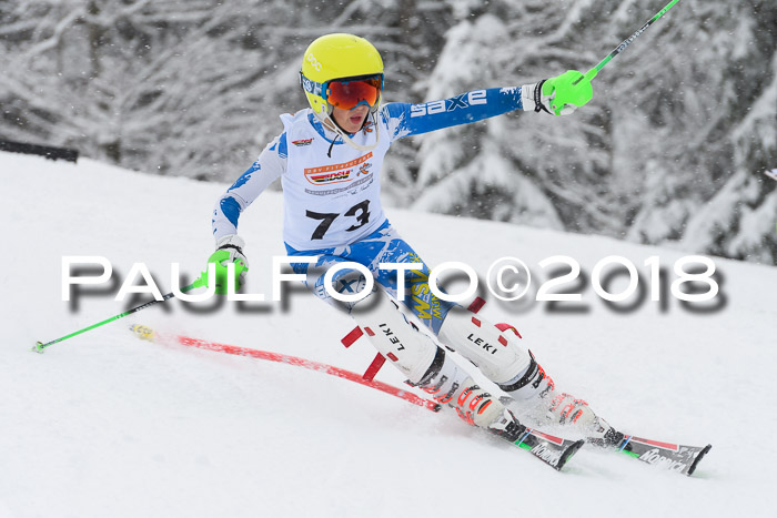 DSV Dt. Schülercup U14 SL 20.01.2018