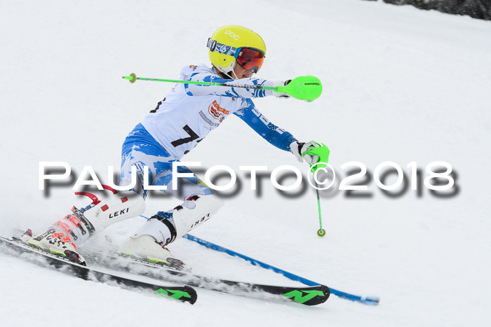 DSV Dt. Schülercup U14 SL 20.01.2018