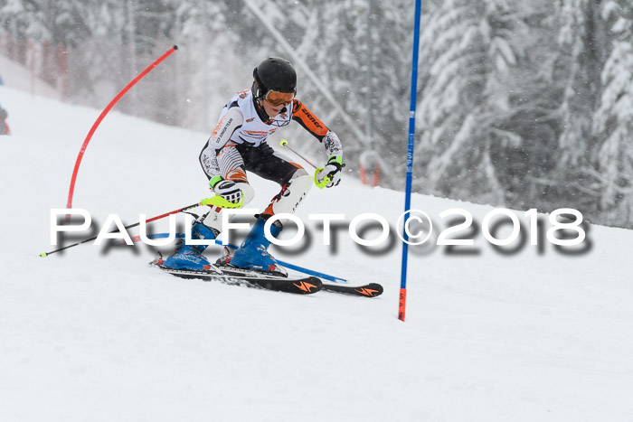 DSV Dt. Schülercup U14 SL 20.01.2018