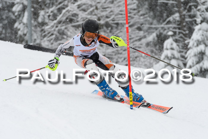 DSV Dt. Schülercup U14 SL 20.01.2018