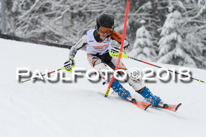 DSV Dt. Schülercup U14 SL 20.01.2018