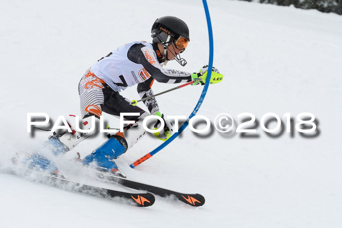 DSV Dt. Schülercup U14 SL 20.01.2018