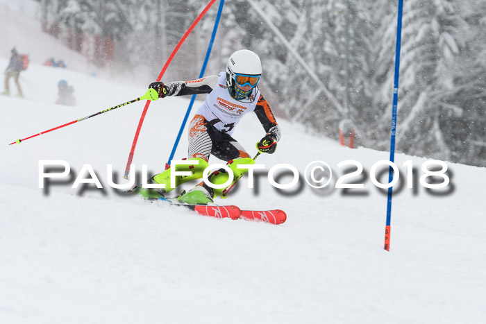 DSV Dt. Schülercup U14 SL 20.01.2018