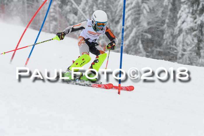 DSV Dt. Schülercup U14 SL 20.01.2018