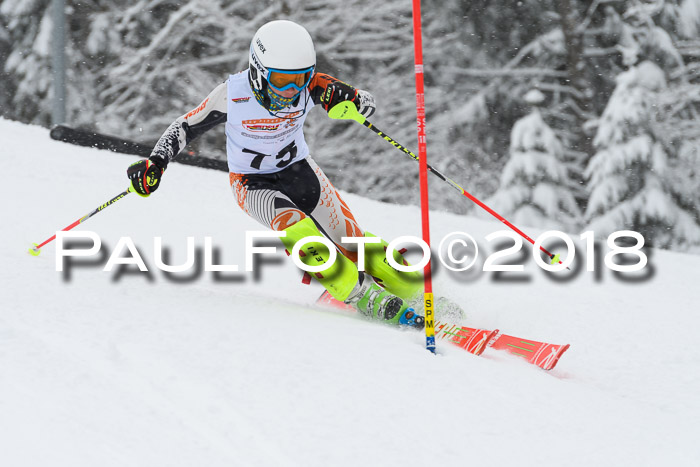 DSV Dt. Schülercup U14 SL 20.01.2018
