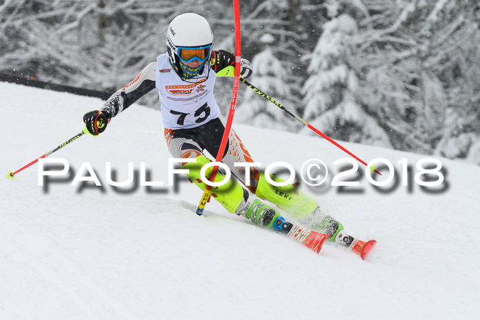 DSV Dt. Schülercup U14 SL 20.01.2018