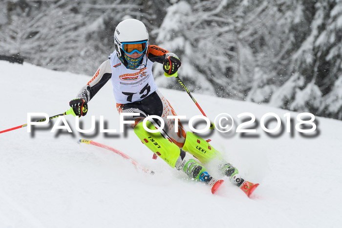 DSV Dt. Schülercup U14 SL 20.01.2018