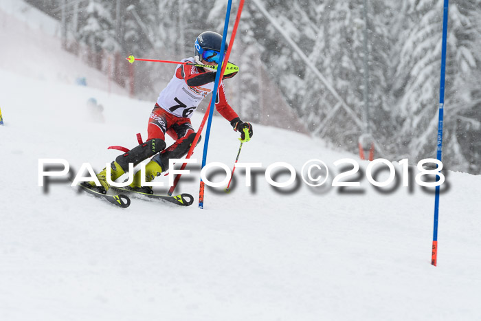 DSV Dt. Schülercup U14 SL 20.01.2018