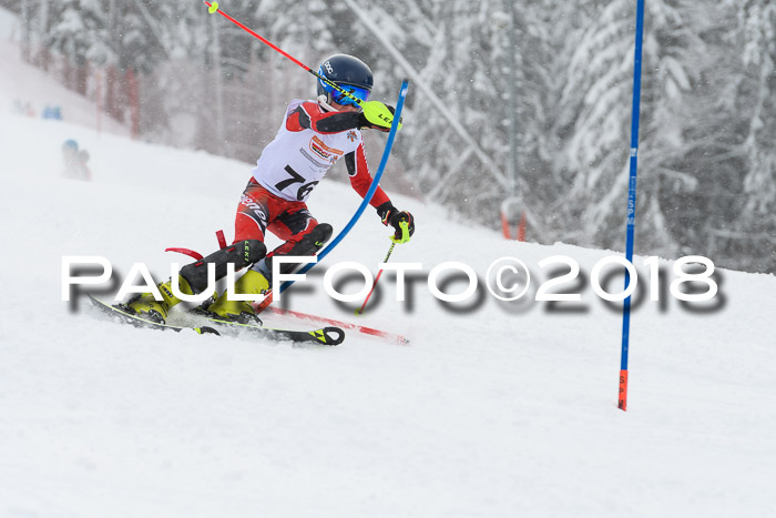 DSV Dt. Schülercup U14 SL 20.01.2018