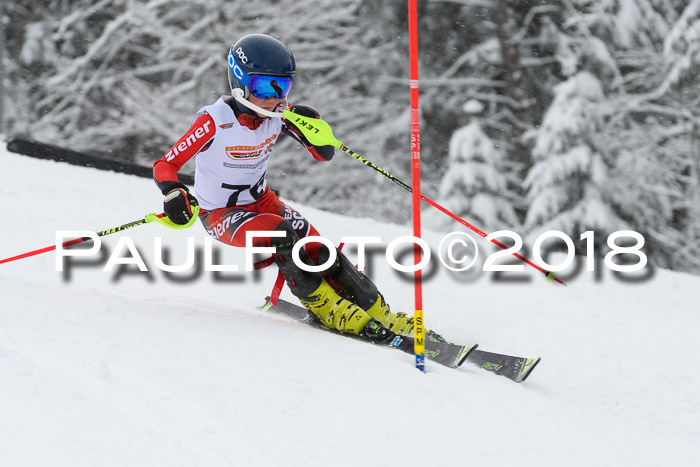 DSV Dt. Schülercup U14 SL 20.01.2018