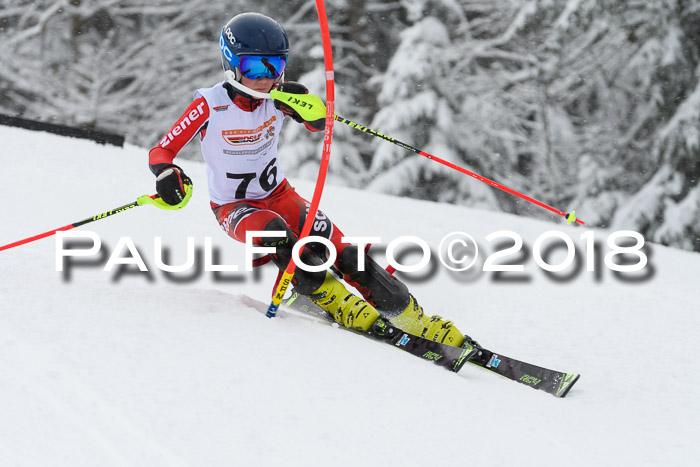 DSV Dt. Schülercup U14 SL 20.01.2018