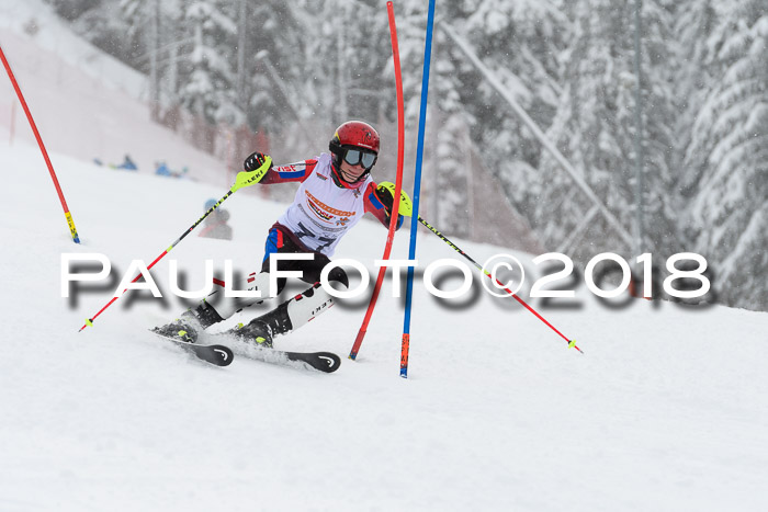DSV Dt. Schülercup U14 SL 20.01.2018