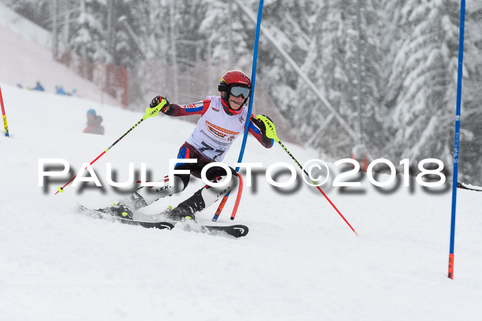 DSV Dt. Schülercup U14 SL 20.01.2018
