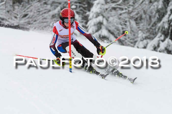 DSV Dt. Schülercup U14 SL 20.01.2018