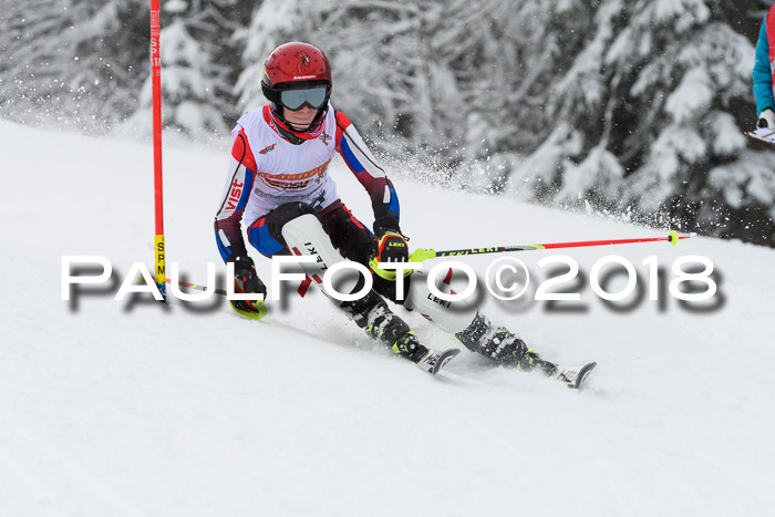 DSV Dt. Schülercup U14 SL 20.01.2018