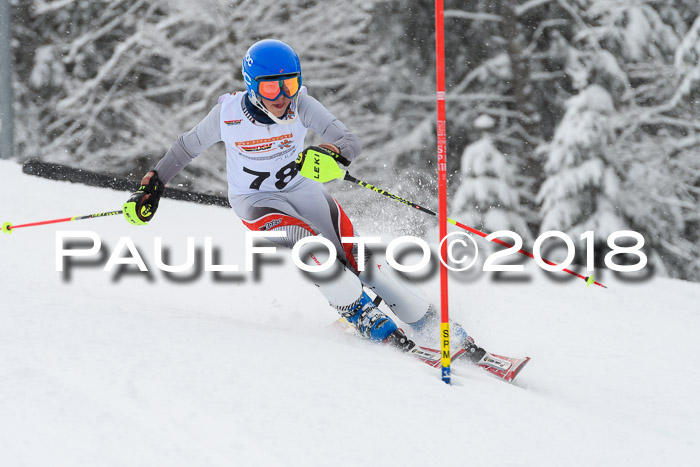 DSV Dt. Schülercup U14 SL 20.01.2018